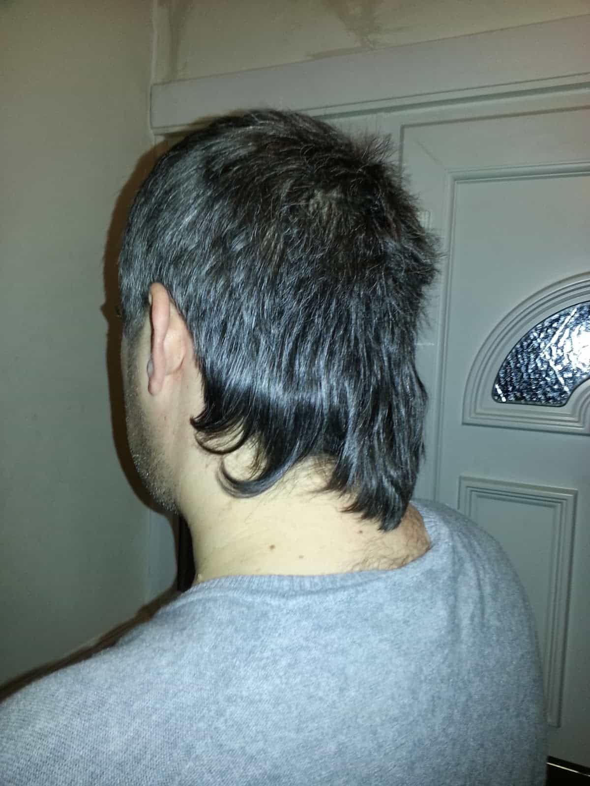 Cover Image for Mullet Update