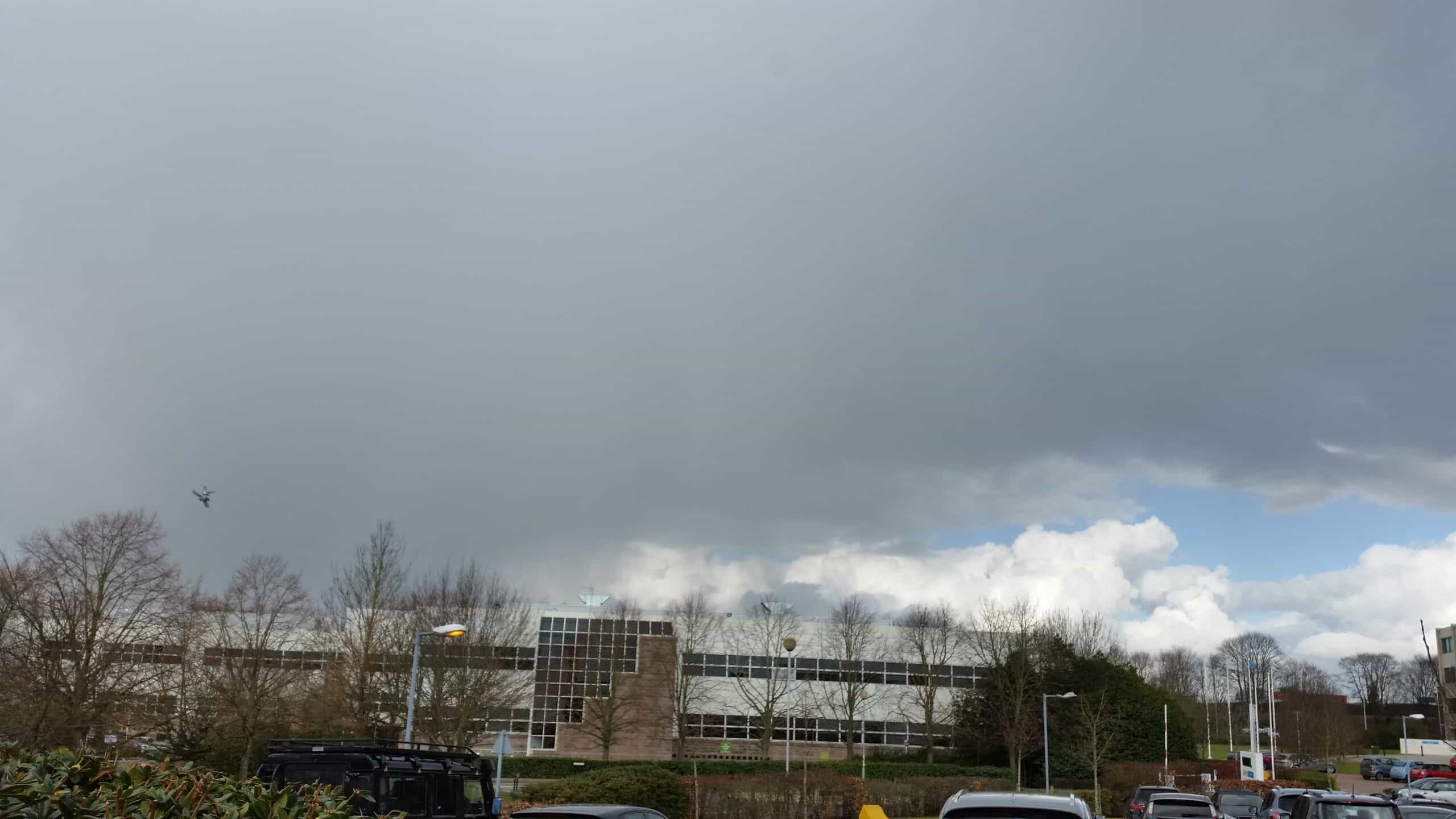 Cover Image for Complaint: Wet Feet Winfield