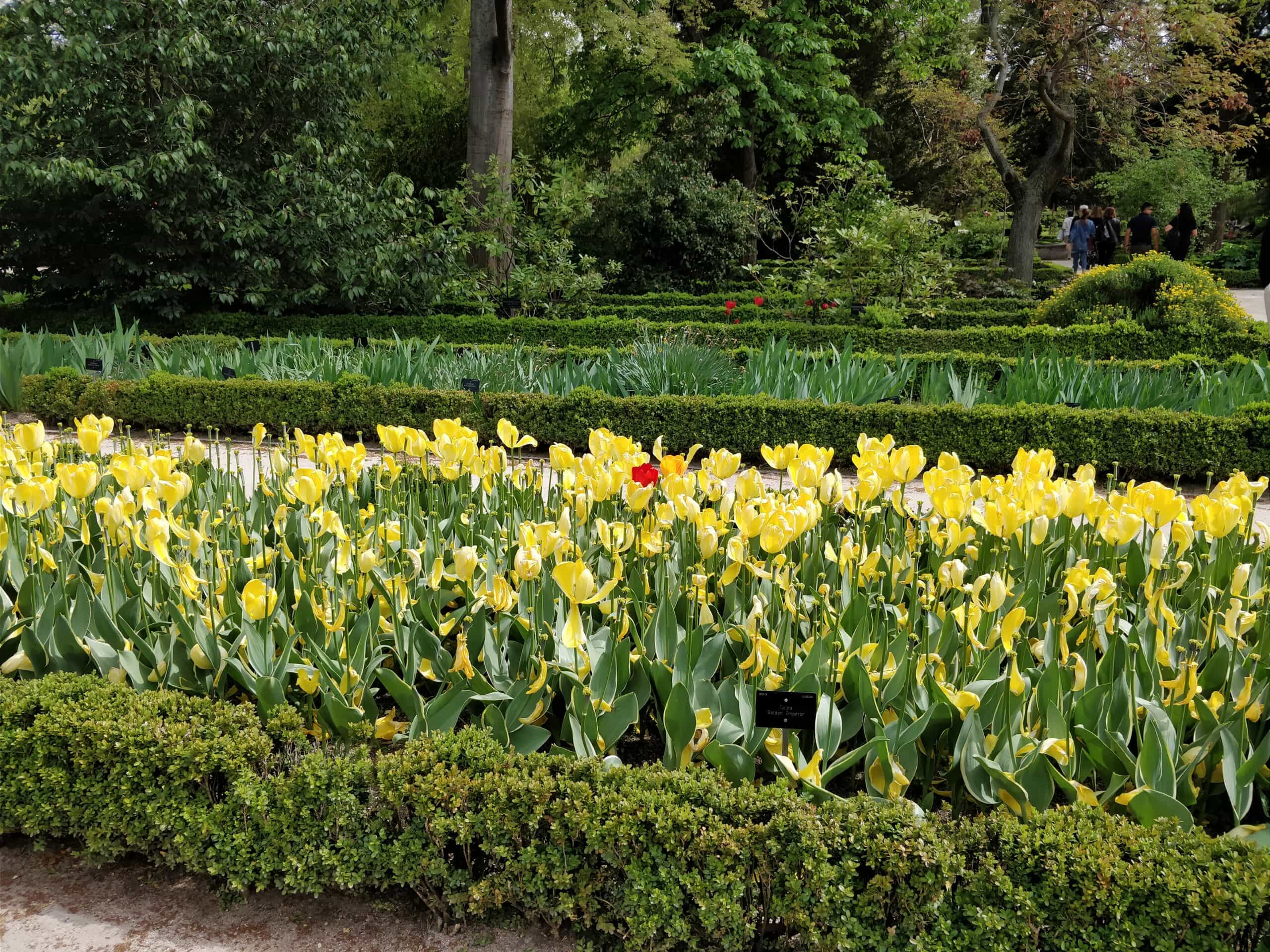 Cover Image for James Went To Madrid